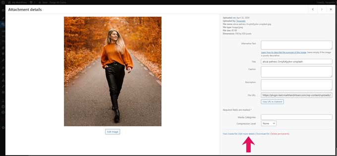 Assign category to an image