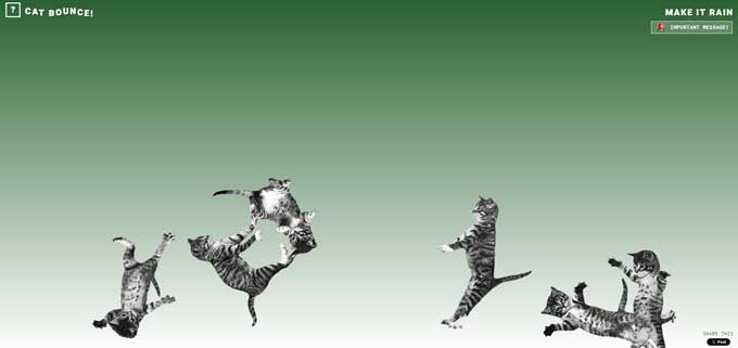Cat bounce