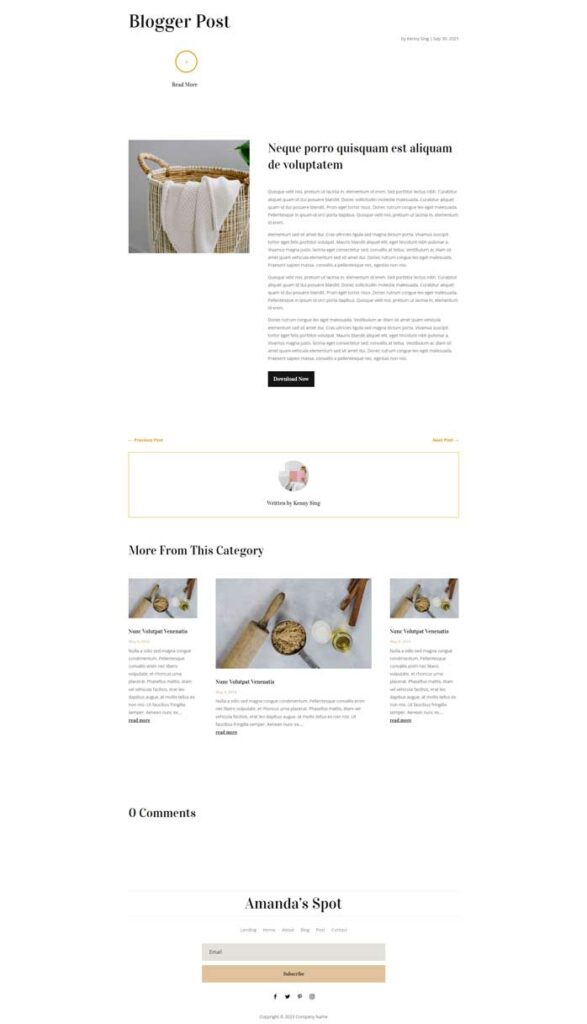 Divi blogger blog post