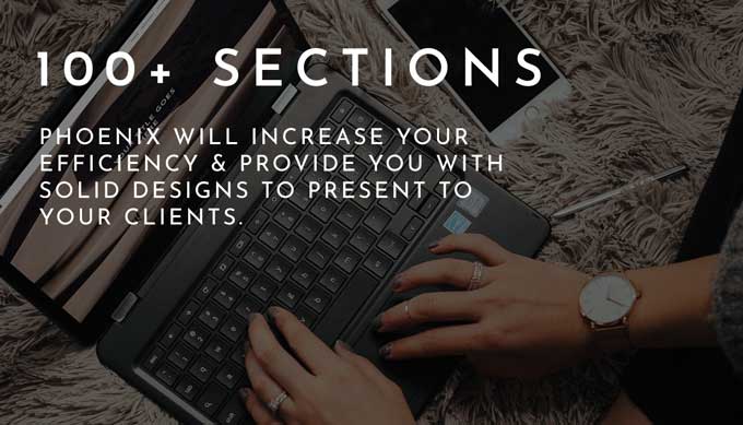 Phoenix 100 sections