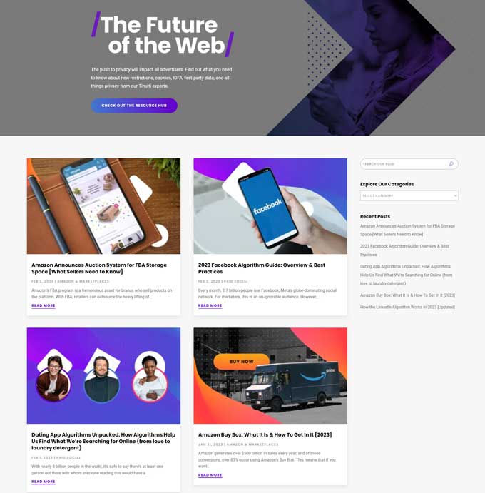 Tinuiti blog example